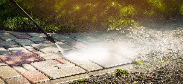 Best Driveway Pressure Washing  in Balch Springs, TX